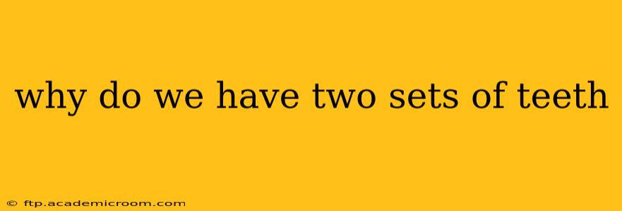 why do we have two sets of teeth