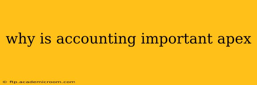 why is accounting important apex