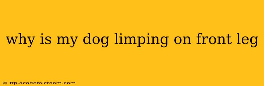 why is my dog limping on front leg