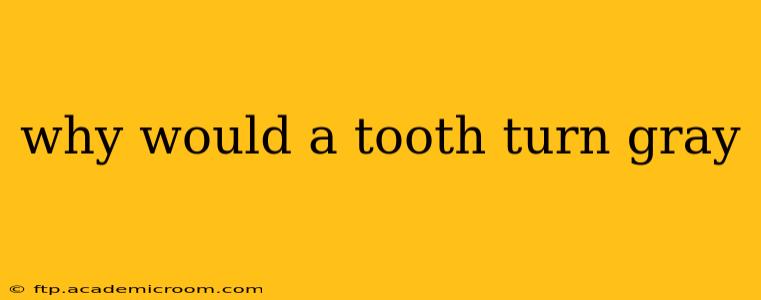why would a tooth turn gray