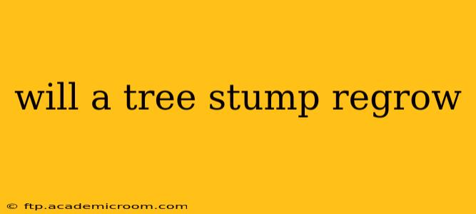 will a tree stump regrow