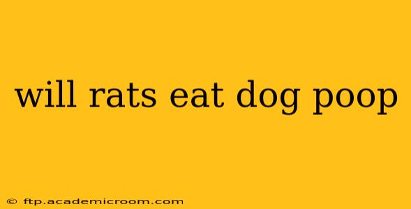 will rats eat dog poop