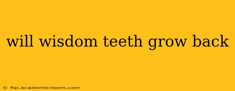 will wisdom teeth grow back