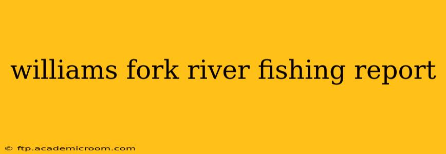 williams fork river fishing report
