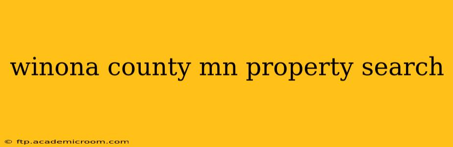 winona county mn property search