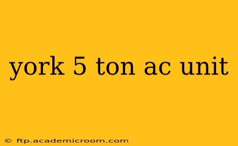 york 5 ton ac unit