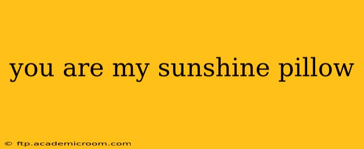 you are my sunshine pillow
