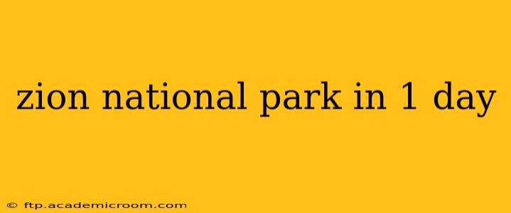 zion national park in 1 day